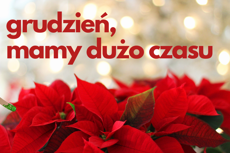 Czerwone sztuczne kwiaty grudzień